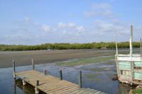 Kanufahrt durch Magroven - La Boquilla