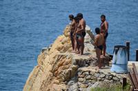 Klippenspringer Acapulco (1)