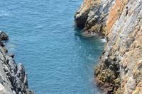 Klippenspringer Acapulco (3)