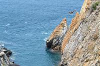 Klippenspringer Acapulco (6)
