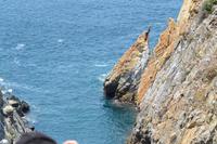 Klippenspringer Acapulco (7)