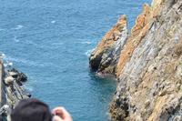 Klippenspringer Acapulco (8)