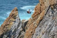 Klippenspringer Acapulco (12)