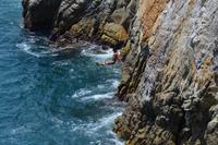 Klippenspringer Acapulco (14)