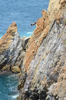 Klippenspringer Acapulco (18)