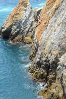 Klippenspringer Acapulco (19)