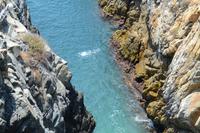 Klippenspringer Acapulco (21)