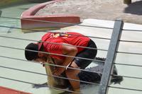 Miccosukee Indian Village Miami (9)