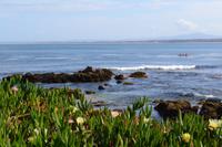 Monterey Bay (5)