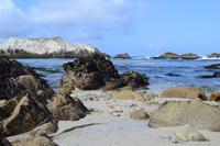 Monterey Bay (15)
