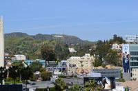 Walk of Fame Los Angeles (7)