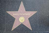Walk of Fame Los Angeles (8)
