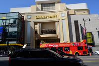 Walk of Fame Los Angeles (9)