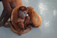 Zoo am Hafen Cartagena (1)