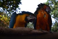 Zoo am Hafen Cartagena (7)