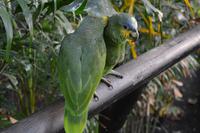 Zoo am Hafen Cartagena (8)