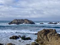 17-Mile Drive, Bird Rock