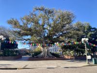 Olvera Street, Los Angeles