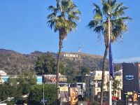 Hollywood 