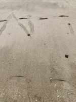 Sea Turtle Rescue Center, Acapulco 