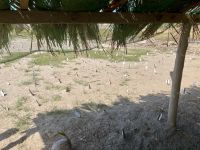 Sea Turtle Rescue Center, Acapulco 