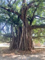 Casco Antiguo, Panama