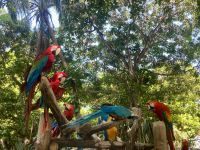 Cartagena, Kolumbien