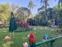 Cartagena, Kolumbien