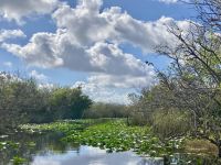Everglades