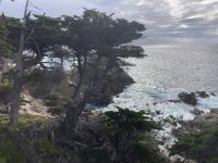 Kalifornische Küsten