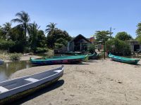 Besuch der Mangroven, ohne Krokodile