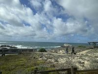 Pacific Grove - Asilomar Dunes