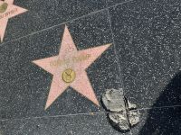 Hollywood Walk of Fame