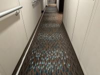 Fische am Boden weisen den Weg