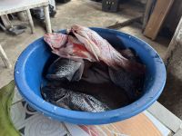 Mittagessen  - vorher