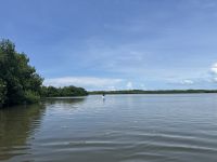 Fahrt durch die Mangroven - der Fischer