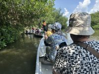 mit Kanus durch die Mangroven