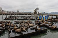 San Francisco, Pier 39
