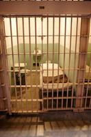 San Francisco, Alcatraz