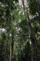 Costa Rica, Carara-Nationalpark