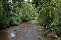 Costa Rica, Carara-Nationalpark