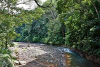 Costa Rica, Carara-Nationalpark