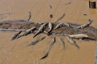 Costa Rica, Puntarenas