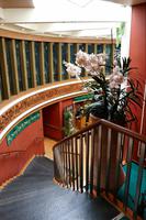 An Bord der Norwegian Star