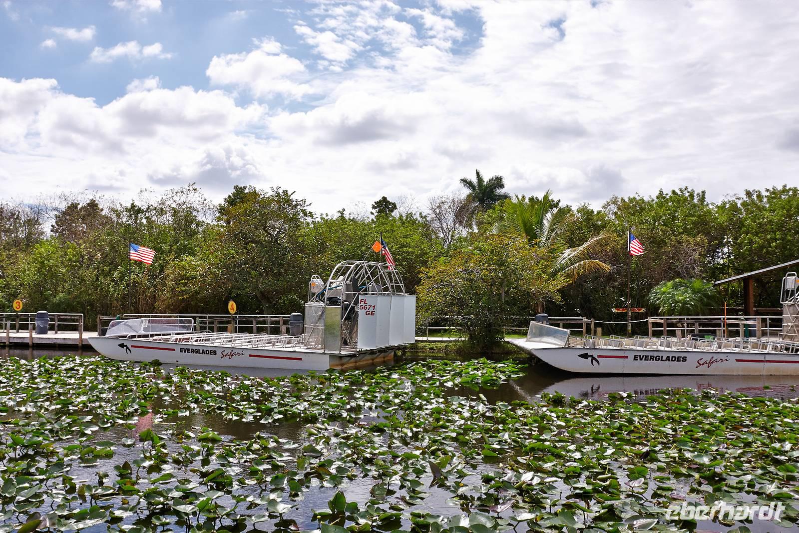 In den Everglades