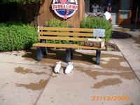 DSCI0047_Forrest Gump Bank