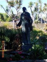 DSCI0071_Juniperro Serra