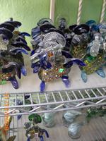 DSCI0155_genau, eine trinkende Schildkröte