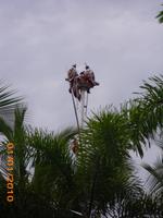 DSCI0172_Künstler am Wegesrand