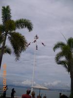 DSCI0174_Vorstellung beginnt